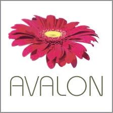 Avalon